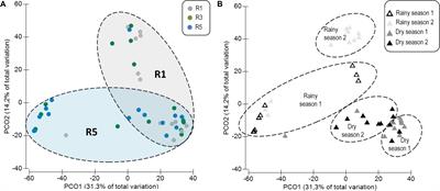 Coral Bacterial-Core Abundance and Network Complexity as Proxies for Anthropogenic Pollution